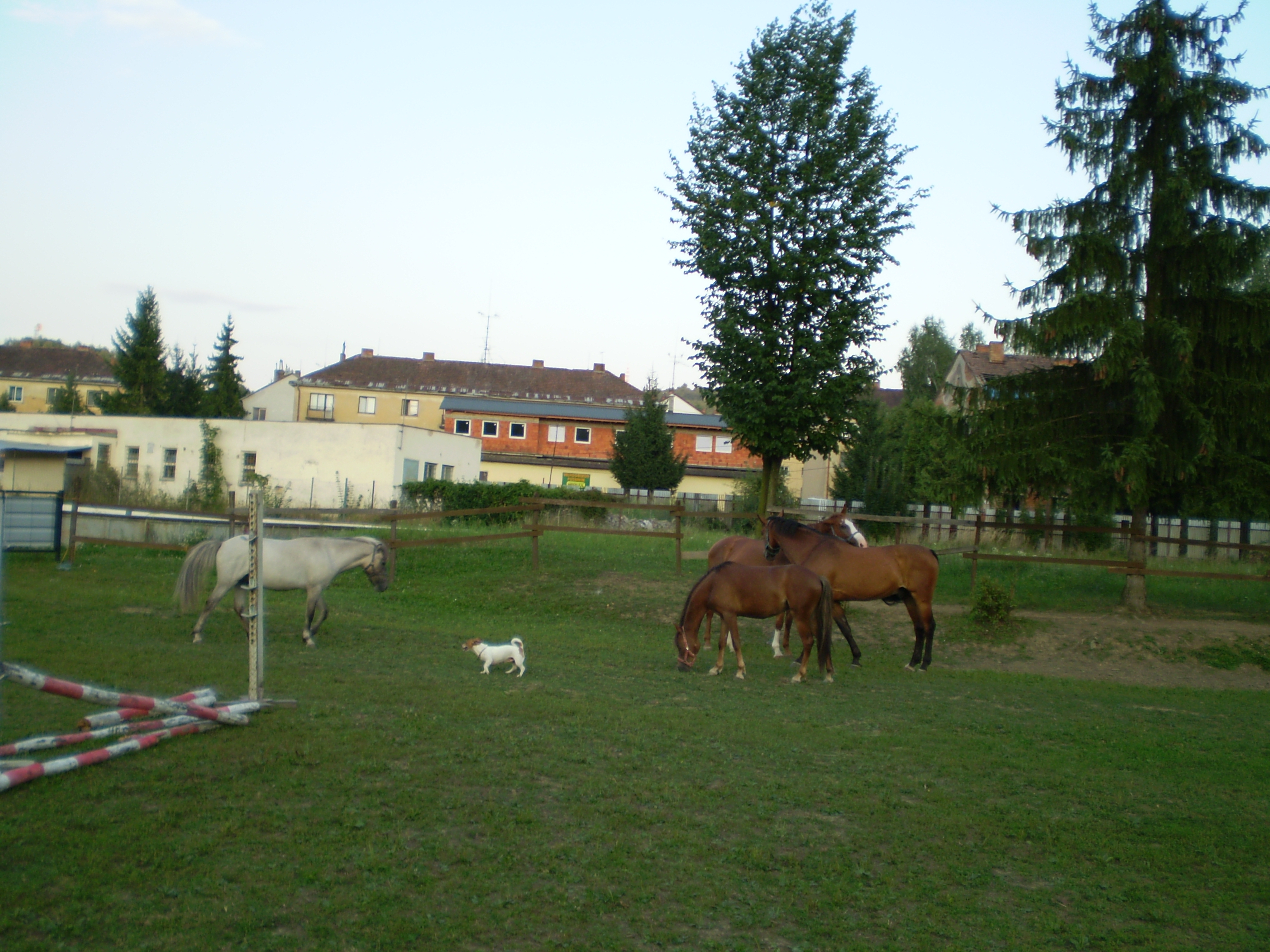 1222 012.jpg