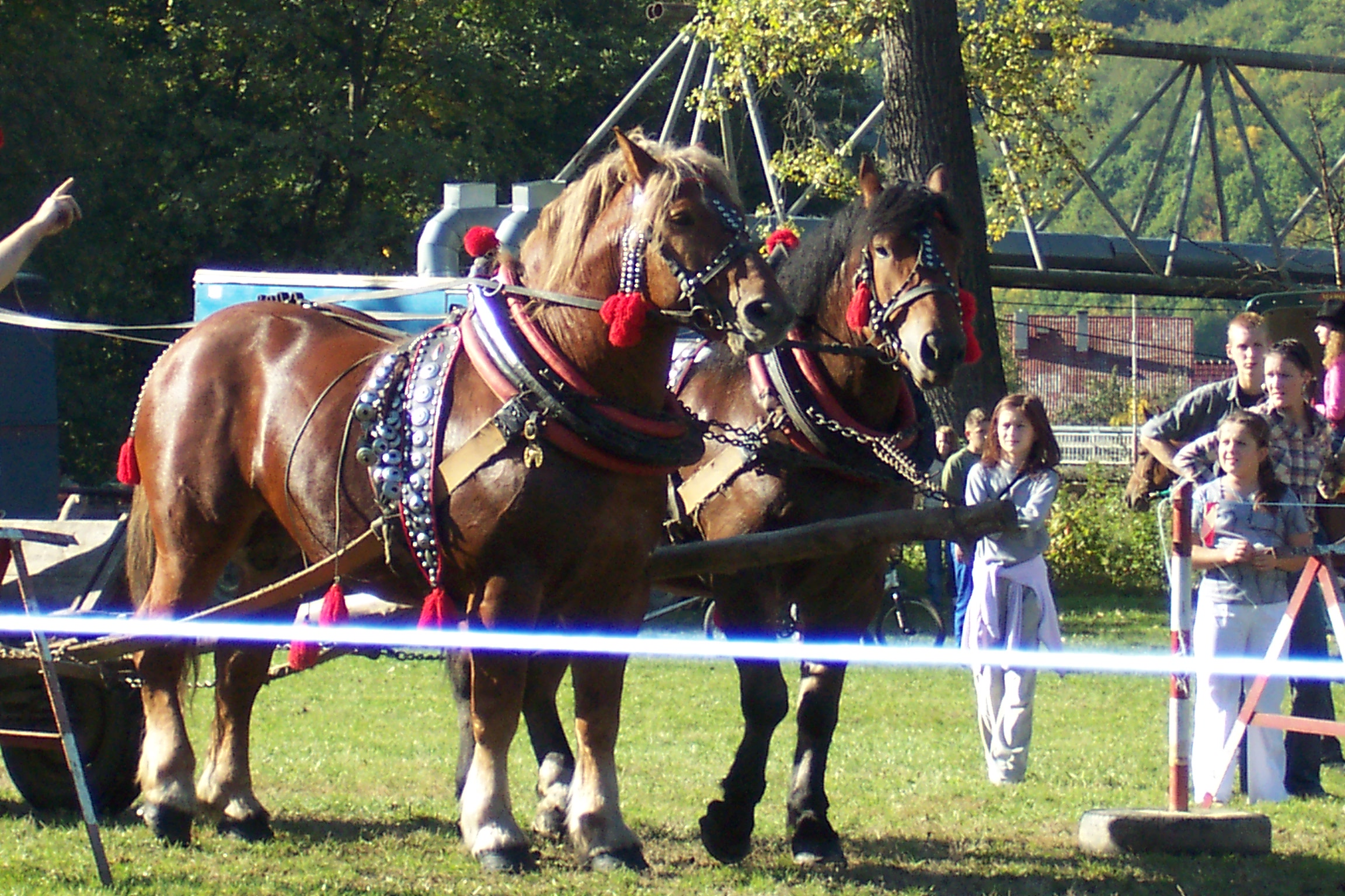 Snímek 078.jpg