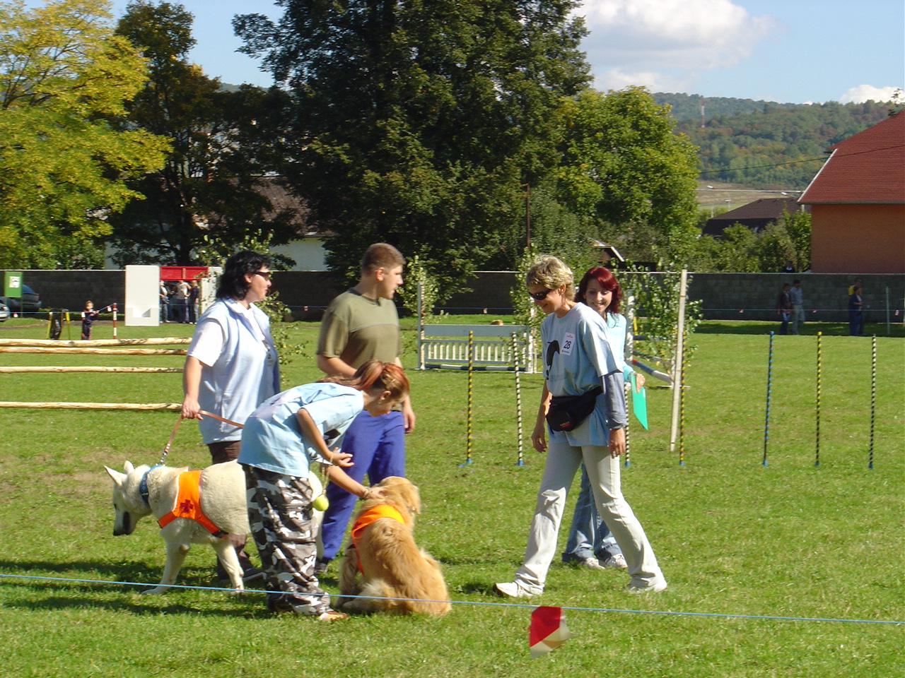 DSC00013.JPG